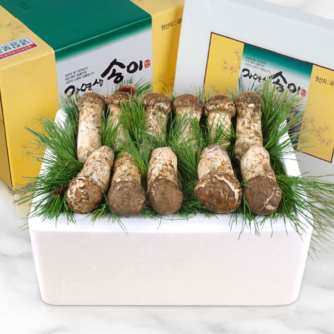[참자연] 자연산 송이버섯 (냉동/특상품1) 1kg