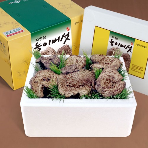 [참자연] 자연산 능이버섯(냉동) 500g